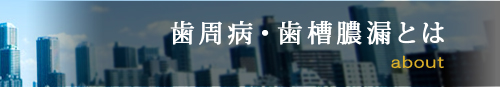 歯周病・歯槽膿漏とは